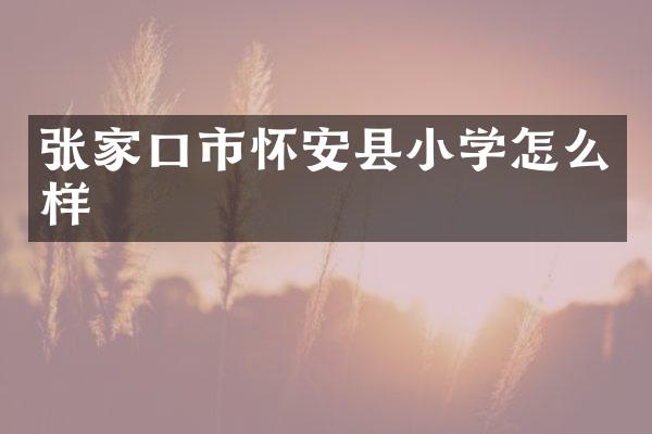 张家口市怀安县小学怎么样