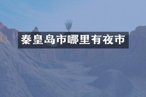 秦皇岛市哪里有夜市