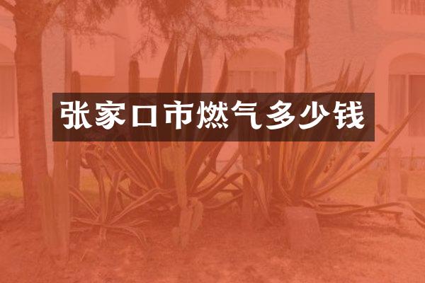 张家口市燃气多少钱