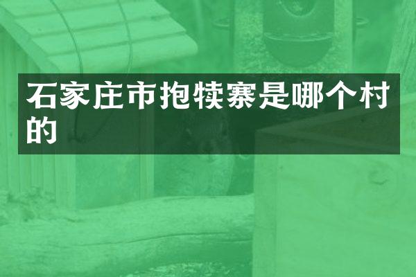 石家庄市抱犊寨是哪个村的