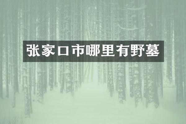 张家口市哪里有野墓