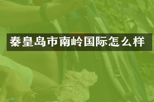 秦皇岛市南岭国际怎么样