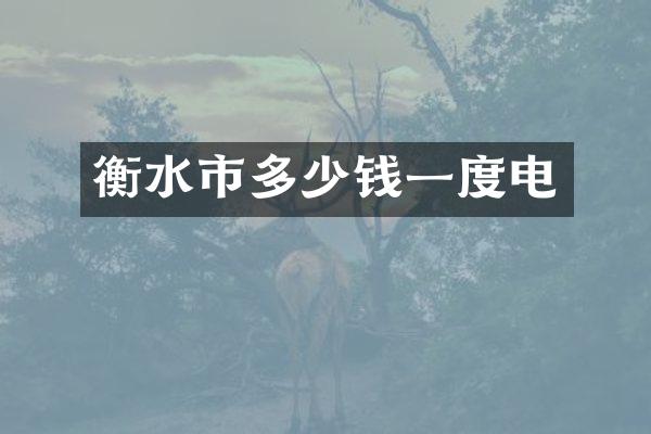 衡水市多少钱一度电