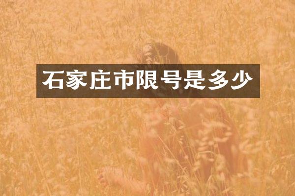 石家庄市限号是多少