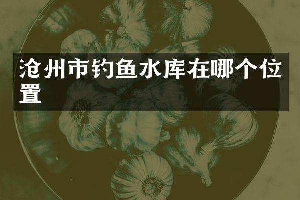 沧州市钓鱼水库在哪个位置