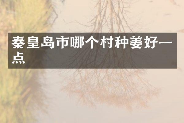 秦皇岛市哪个村种姜好一点