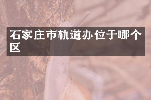 石家庄市轨道办位于哪个区