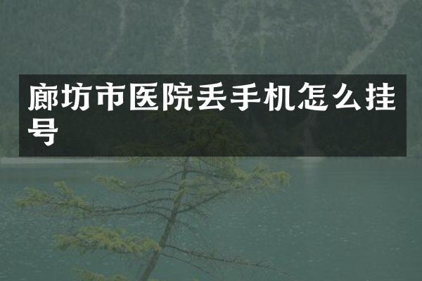 廊坊市医院丢手机怎么挂号