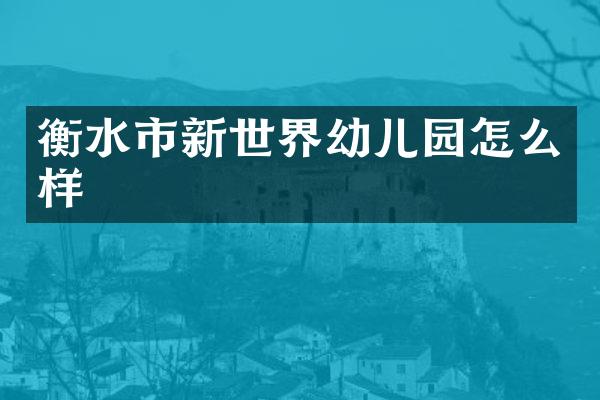 衡水市新世界幼儿园怎么样