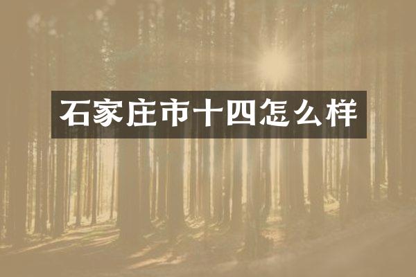 石家庄市十四怎么样
