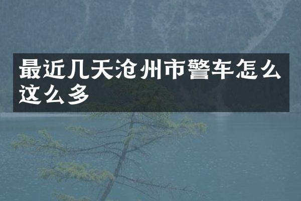 最近几天沧州市警车怎么这么多