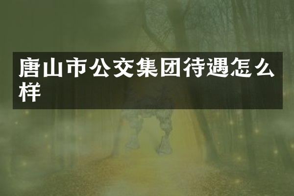 唐山市公交集团待遇怎么样