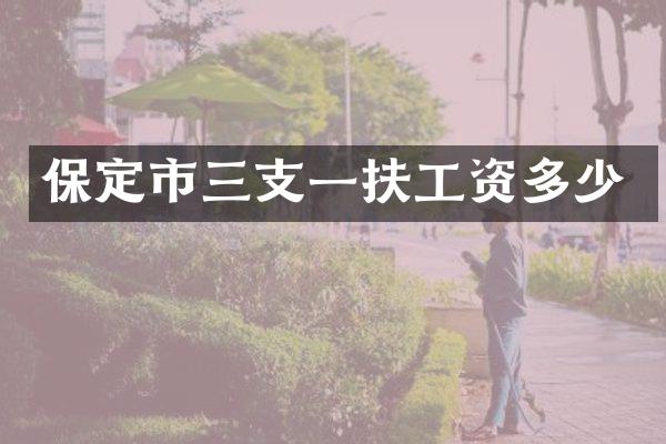 保定市三支一扶工资多少