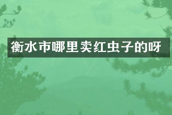 衡水市哪里卖红虫子的呀