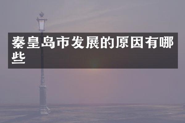 秦皇岛市发展的原因有哪些