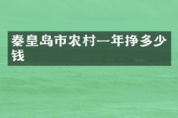 秦皇岛市农村一年挣多少钱
