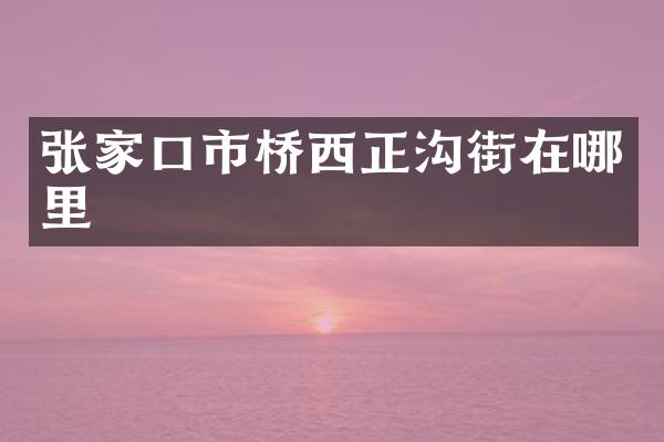 张家口市桥西正沟街在哪里