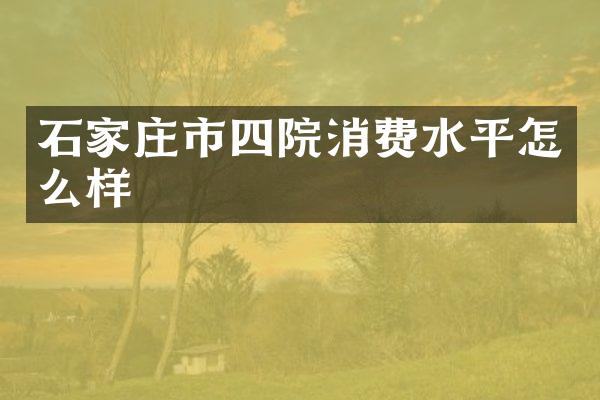 石家庄市四院消费水平怎么样
