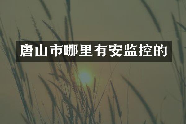 唐山市哪里有安监控的