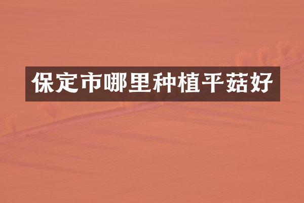 保定市哪里种植平菇好