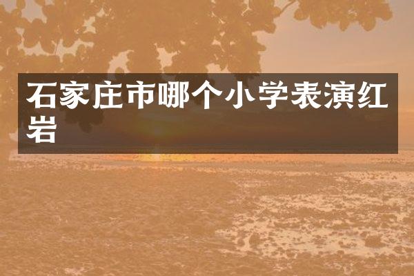 石家庄市哪个小学表演红岩