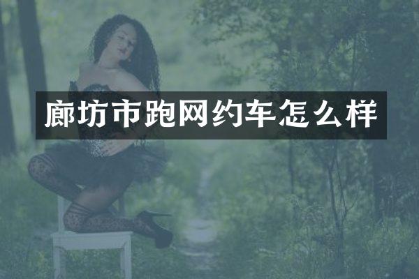 廊坊市跑网约车怎么样