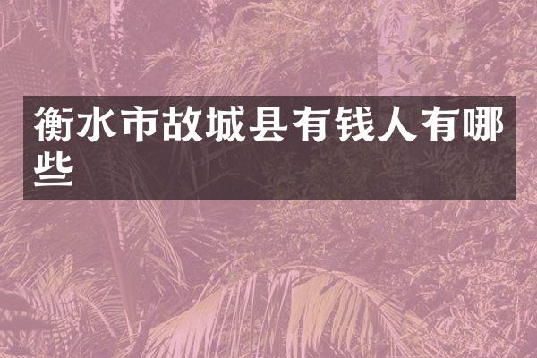 衡水市故城县有钱人有哪些