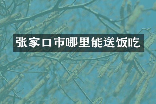 张家口市哪里能送饭吃