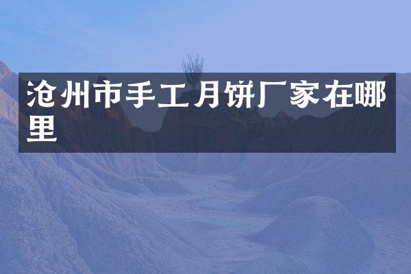 沧州市手工月饼厂家在哪里