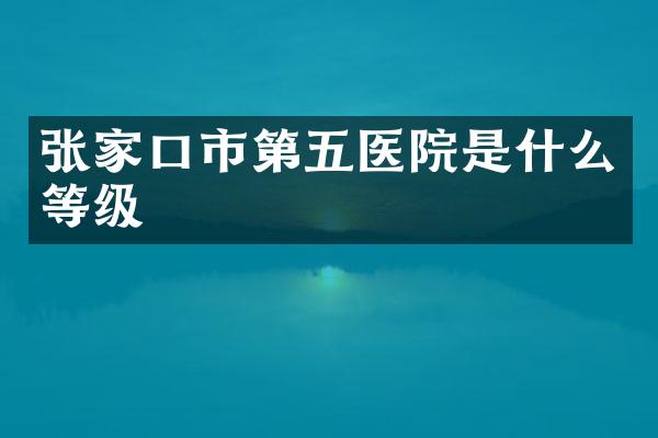 张家口市第五医院是什么等级