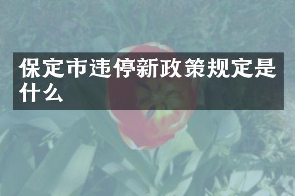 保定市违停新政策规定是什么