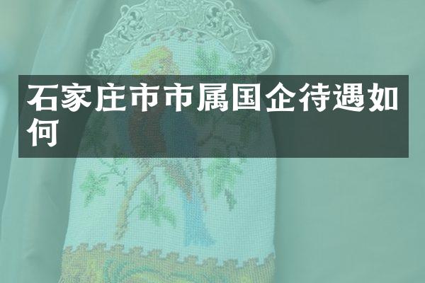 石家庄市市属国企待遇如何