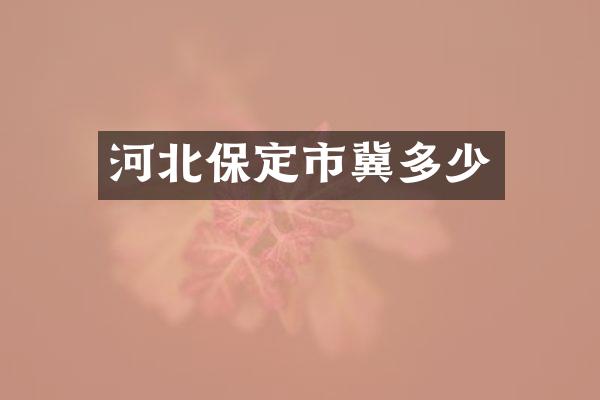 河北保定市冀多少