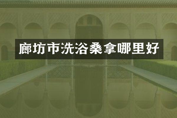 廊坊市洗浴桑拿哪里好