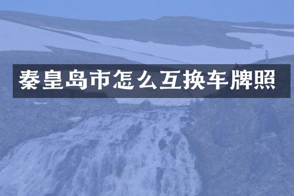 秦皇岛市怎么互换车牌照