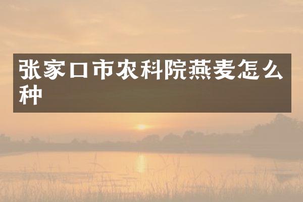 张家口市农科院燕麦怎么种