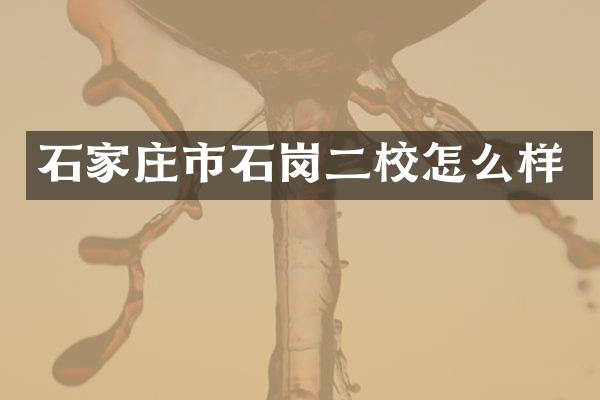 石家庄市石岗二校怎么样