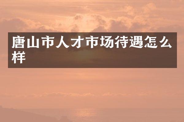 唐山市人才市场待遇怎么样