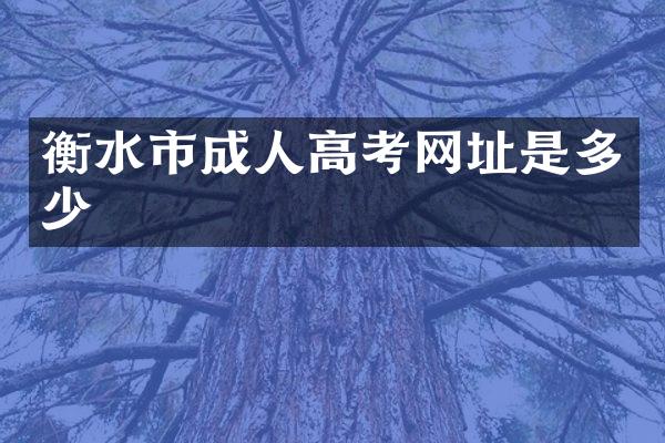 衡水市成人高考网址是多少