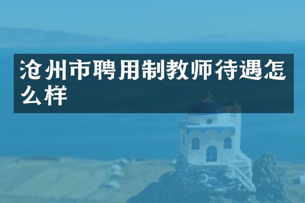 沧州市聘用制教师待遇怎么样