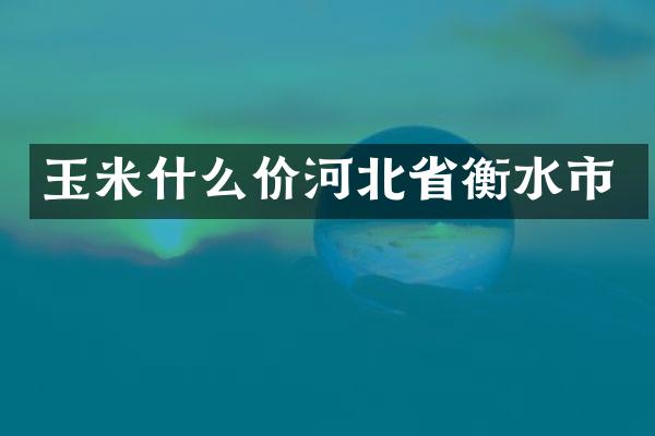 玉米什么价河北省衡水市