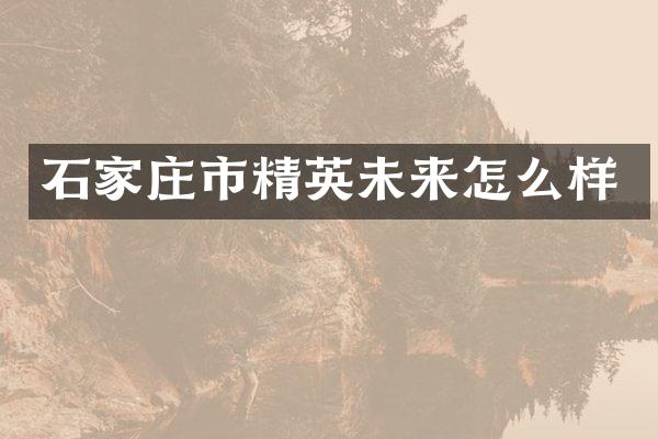 石家庄市精英未来怎么样