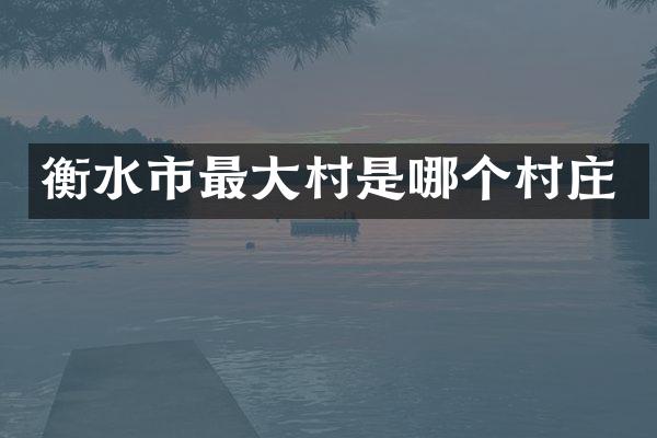 衡水市最大村是哪个村庄