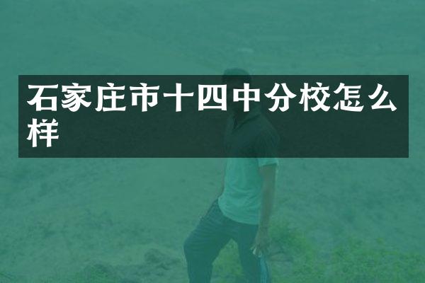 石家庄市十四中分校怎么样