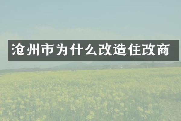 沧州市为什么改造住改商