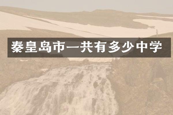 秦皇岛市一共有多少中学