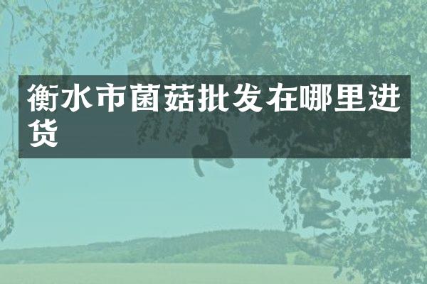 衡水市菌菇批发在哪里进货