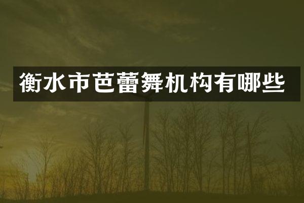 衡水市芭蕾舞机构有哪些