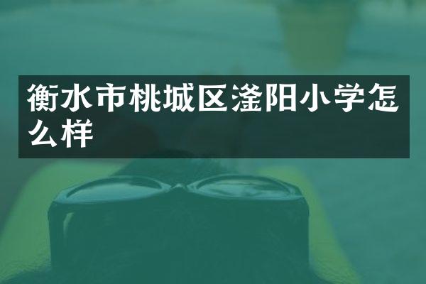 衡水市桃城区滏阳小学怎么样