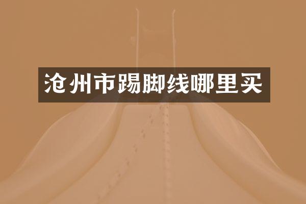 沧州市踢脚线哪里买